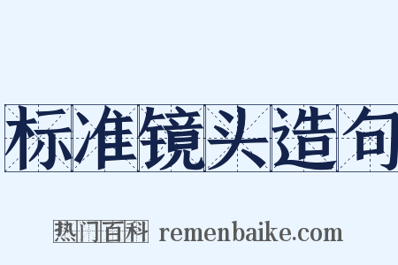 标准镜头造句是什么意思的图片